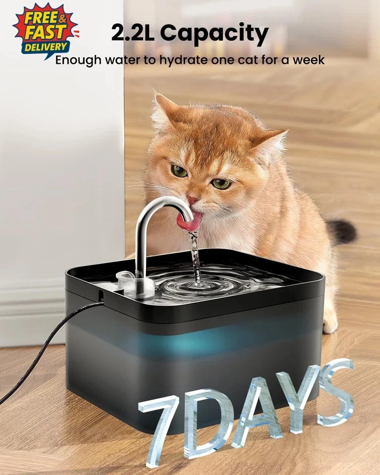 Katzenbrunnen, 2,2L Katzenbrunnen zum Trinken, Ultra Silent Springbrunnen