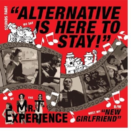 Mr. T Experience Alternative Is Here To Stay (Винил) (ИМПОРТ ИЗ Великобритании)
