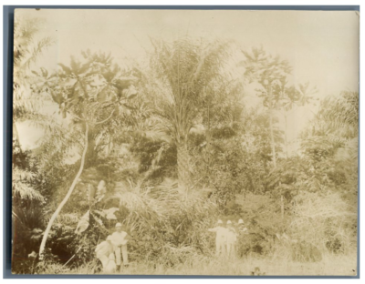 Tirage Photographique Vintage - Vue Du Port De Ziguinchor, Sénégal (circa 1904) - Format 9x12 Cm