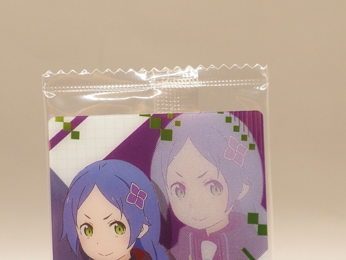 Meili Portroute Re:ZERO Starting Life in Another World Trading