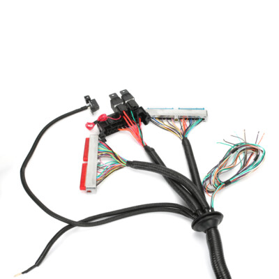 Wiring Harness Stand Alone For LS SWAPS DBC 4.8 5.3 6.0 97-06 98 99 00 LS1 4L60E - Foto 6