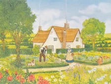 Celestial Seasonings Peppermint Herb Tea Advertising Postcard 1980 Mike Hague