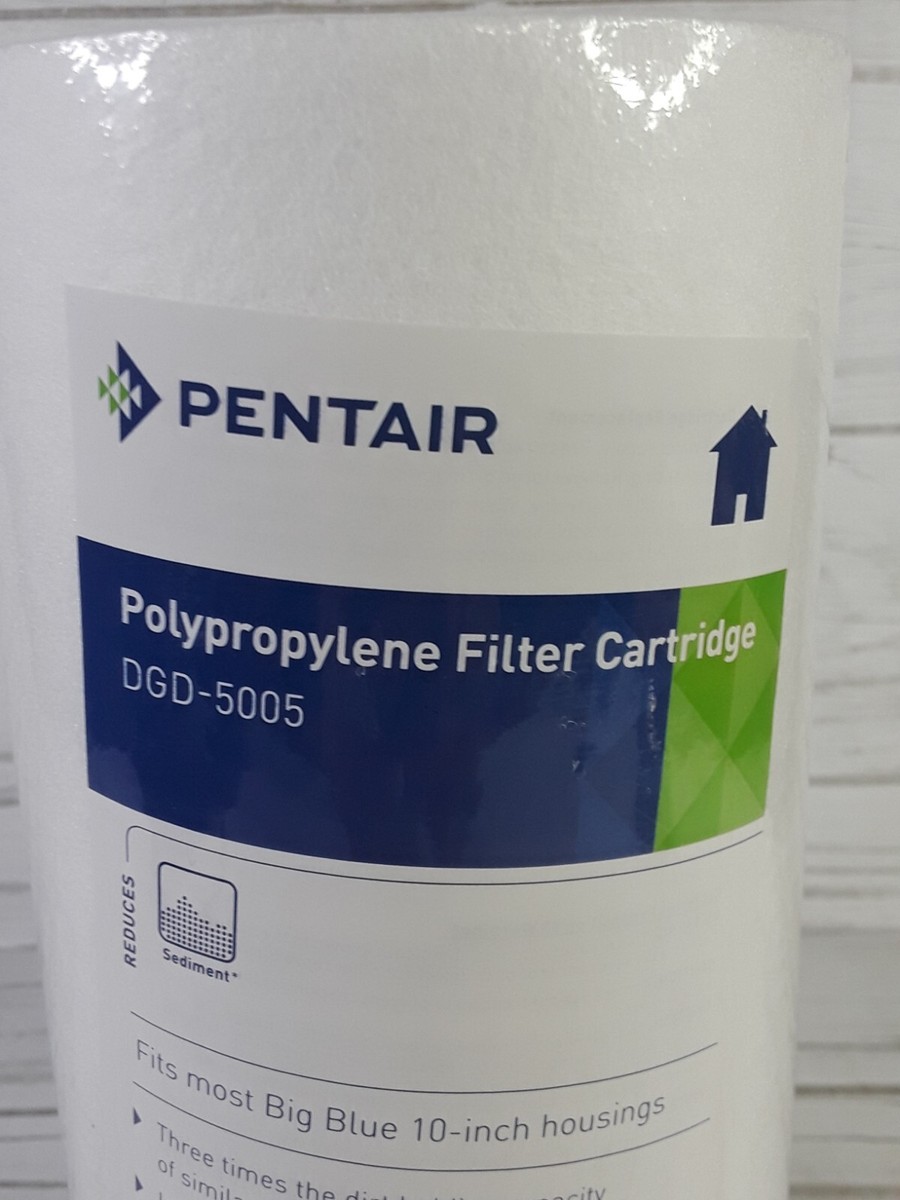Pentair Pentek DGD-5005 155357-43 Dual Gradient Water Filter