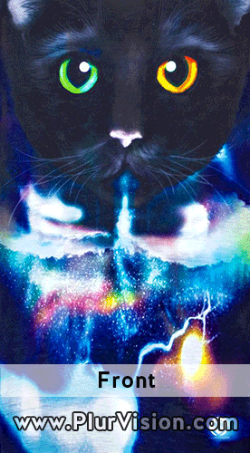Galaxy Cat - Double Sided Seamless Bandana for Raves, Festivals, Dust + More! - Bild 1 von 5