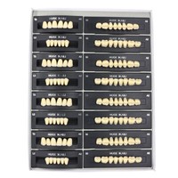 112 Pezzi/Confezione Enorme Kaili Denti In Resina Polimerica Sintetica Dentale T2/T4/T6/T8 A2/A3
