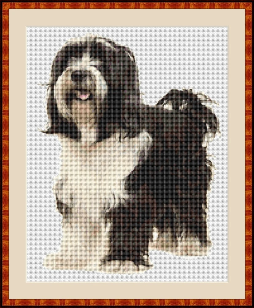 Tibetan terrier 2025 grooming tools