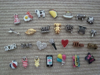 Authentic Origami Owl ''Your Choice'' of Charms   ''New'' C 5  
