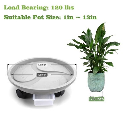peace lily. Peace Lily Plant