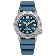 Citizen Womens Dive Date Indicator Eco-Drive ...