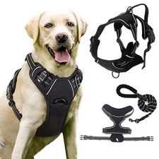 Dog Harness with 2 Leash Clips No-Pull Reflective Vest for Large