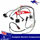 Complete 4 Stroke Dirt 250cc Bike Kick Electric Start Engine Wiring Loom Harness