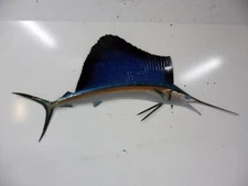 Sail Fish 56 inch Half Mount