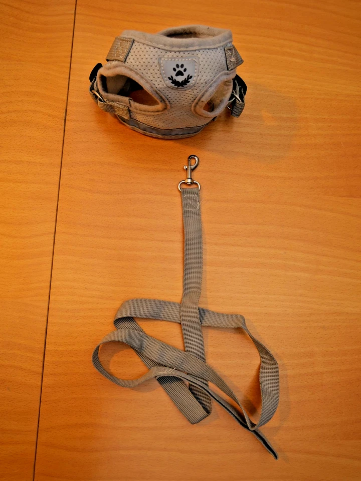 Katzengeschirr mit Leine * Kitten * gepolstert soft verstellbar S-XL