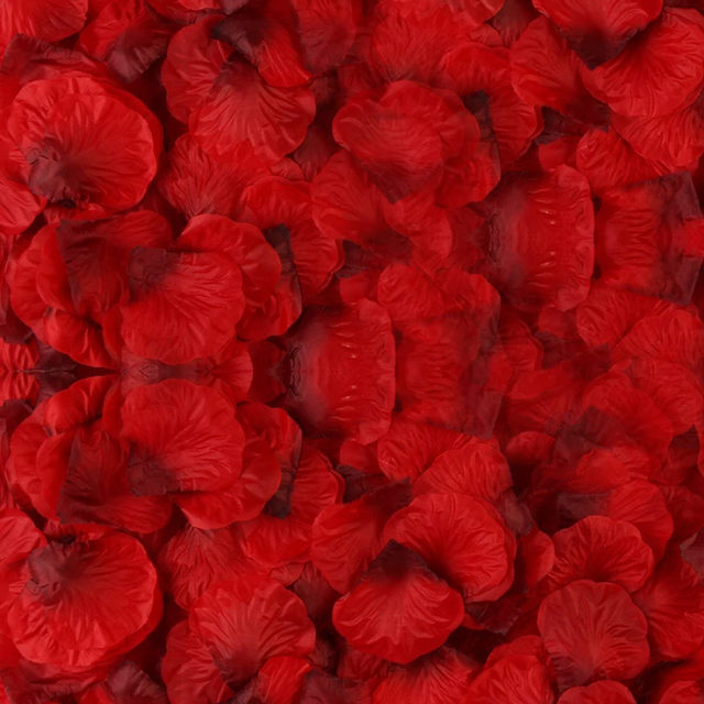 3000 Count Dark Red Rose Petals Artificial Flower for Valentines