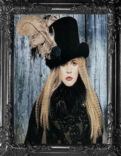 Stevie Nicks Hat With Feather Fleetwood 
