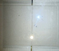 Canon Copier PC 775 complete scanner glass solid piece good