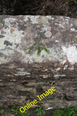Foto 6x4 Benchmark auf Crosshaw Bridge Cautley Ordnance Vermessung Niete Benc c2014