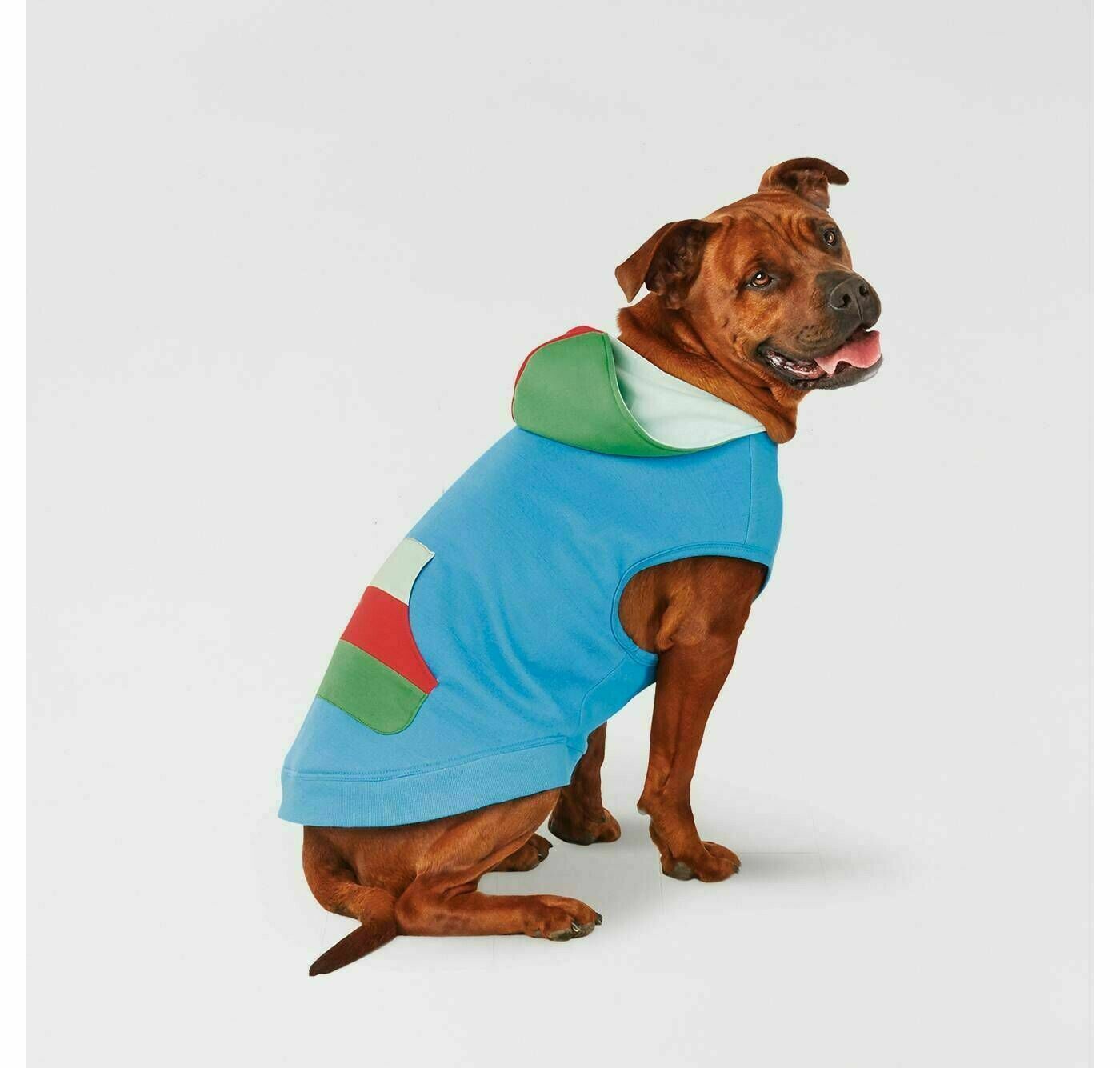 target dog raincoat