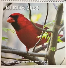 Wall Calendar Birds 2025 12” X 12”