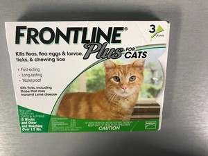 ebay frontline for cats