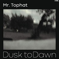 Mr Tophat - Dusk To Dawn - Vinyl Record - G3Z
