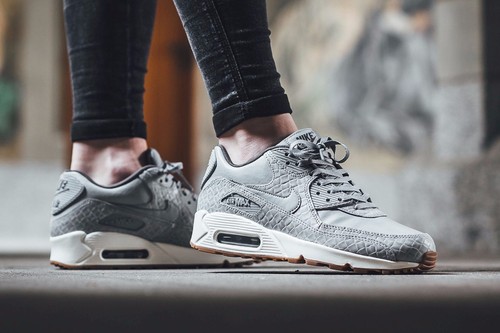 Nike Air Max 90 Premium Wolf Grey/Sail 
