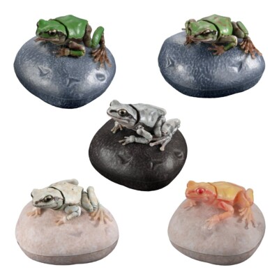 The Diversity of Life on Earth Tree Frog Figure 02 Set of 5