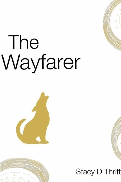 The Wayfarer Stacy Thrift Taschenbuch Kartoniert / Broschiert Englisch 2013-image