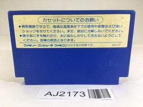 AJ2173 Rainbow Islands NES Famicom Japan