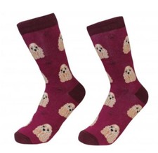Cocker Spaniel Socks Unisex Dog Cotton/Poly One size fits most