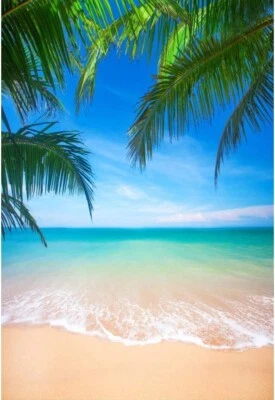 Sfondo Foto Vinile 1.5x2.2m Spiaggia Tropicale Cielo Blu Mare Verde