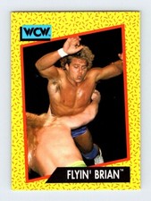#62 BRIAN PILLMAN TRADING CARD WCW Wrestling Vintage 1991 Impel SAL1