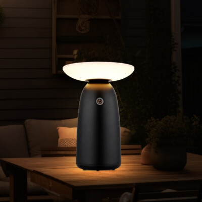 Solarleuchte Außenleuchte Tischlampe LED USB-C IP54 BigLight