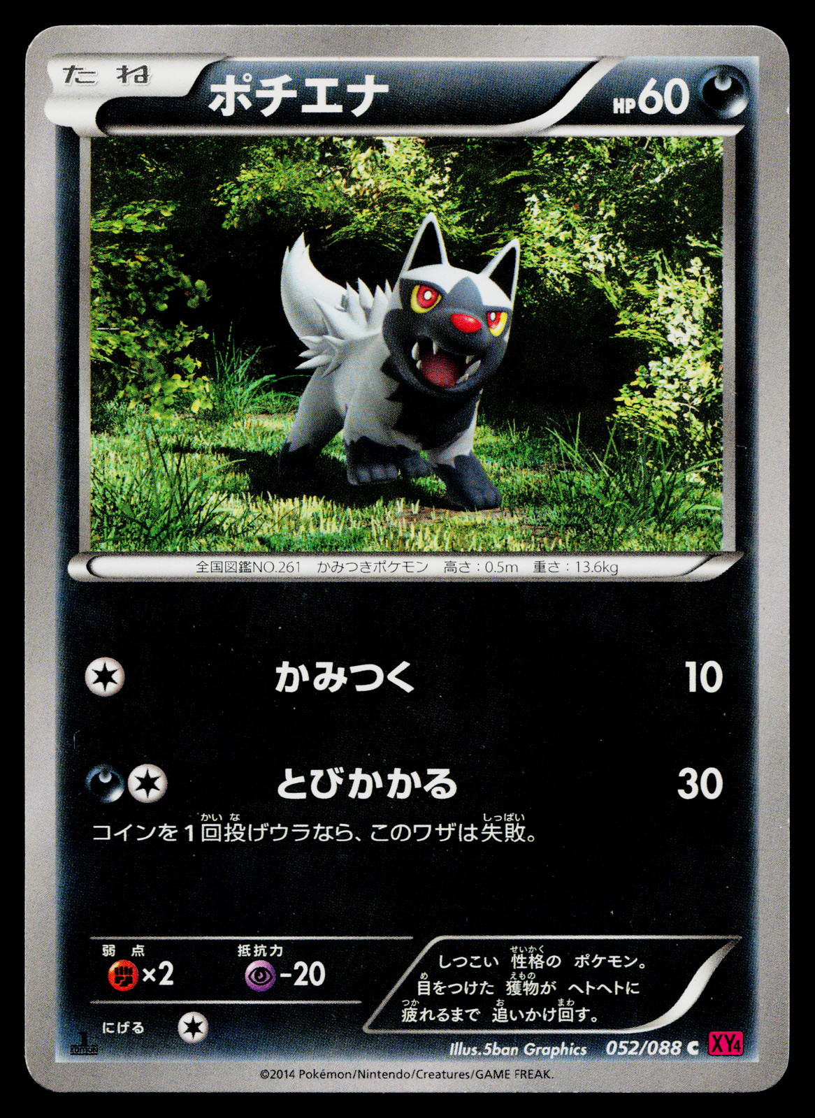 Poochyena 052/088 Common Phantom Gate Pokemon Japanese Near Mint