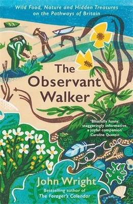 John Wright The Observant Walker (Taschenbuch)