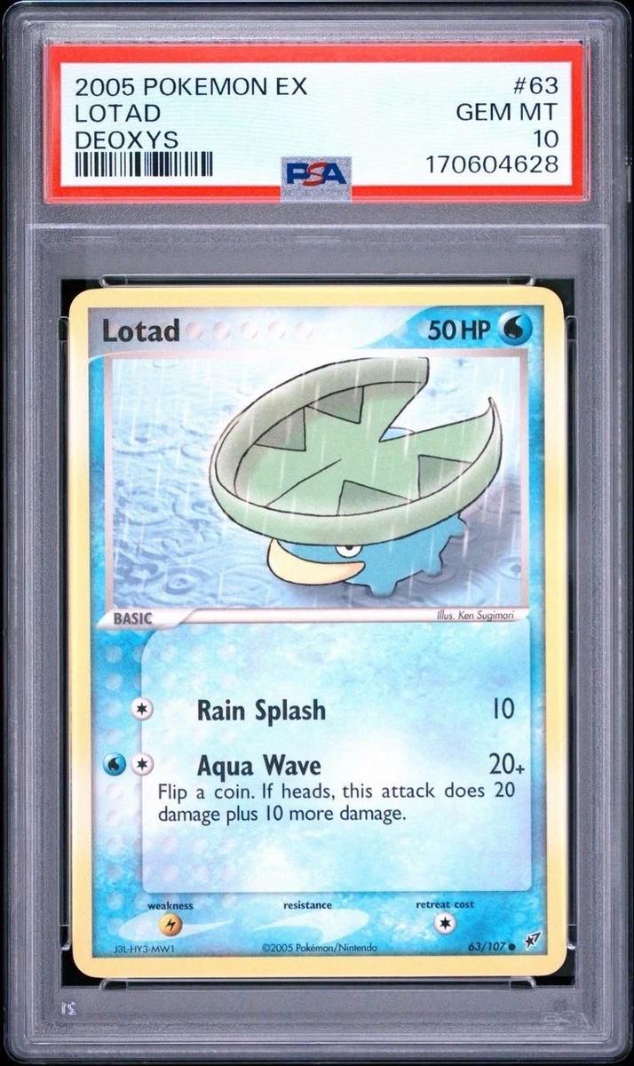 Lotad