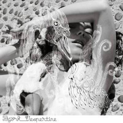 Vespertine - Audio CD By Bjrk - GOOD