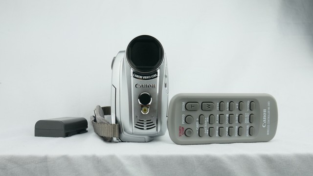 borneo rainbow toad frogman