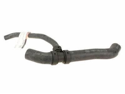 Motorcraft 13XP41B Lower Radiator Hose Fits 1999-2008 Ford Ranger ...