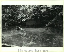 1988 Press Photo Outside Water in Wilcox, Alabama in Conecuh County - amra02381