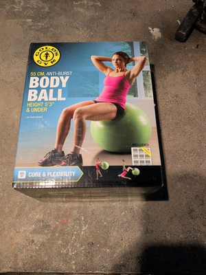 #ad Gold#x27;s Gym 55 CM Anti Burst Body Ball Core and Flexibility Exercise Chart Includ $24.00