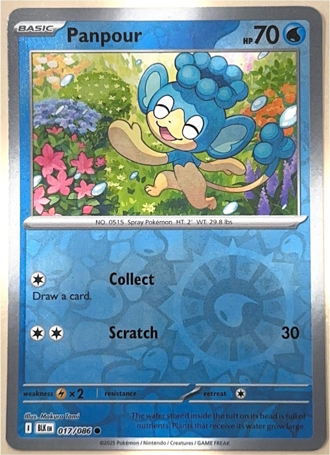 Panpour Reverse Holo - Black Bolt 017/086 - NM Pokemon