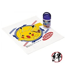 Skater Hand Towel Set with Antibacterial Case Pok&eacute;mon 22 Made in Japan (OA5AG-A)