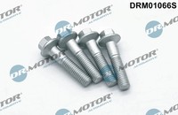 Dr.Motor Automotive Schraube EinspritzdüSenhalter FüR Ford Focus Turnier DNW