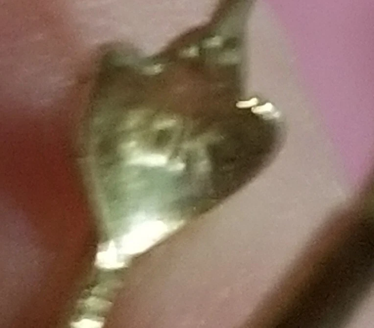 Pendientes de oro 10K con diopsido cromado  Foto 4 de 4