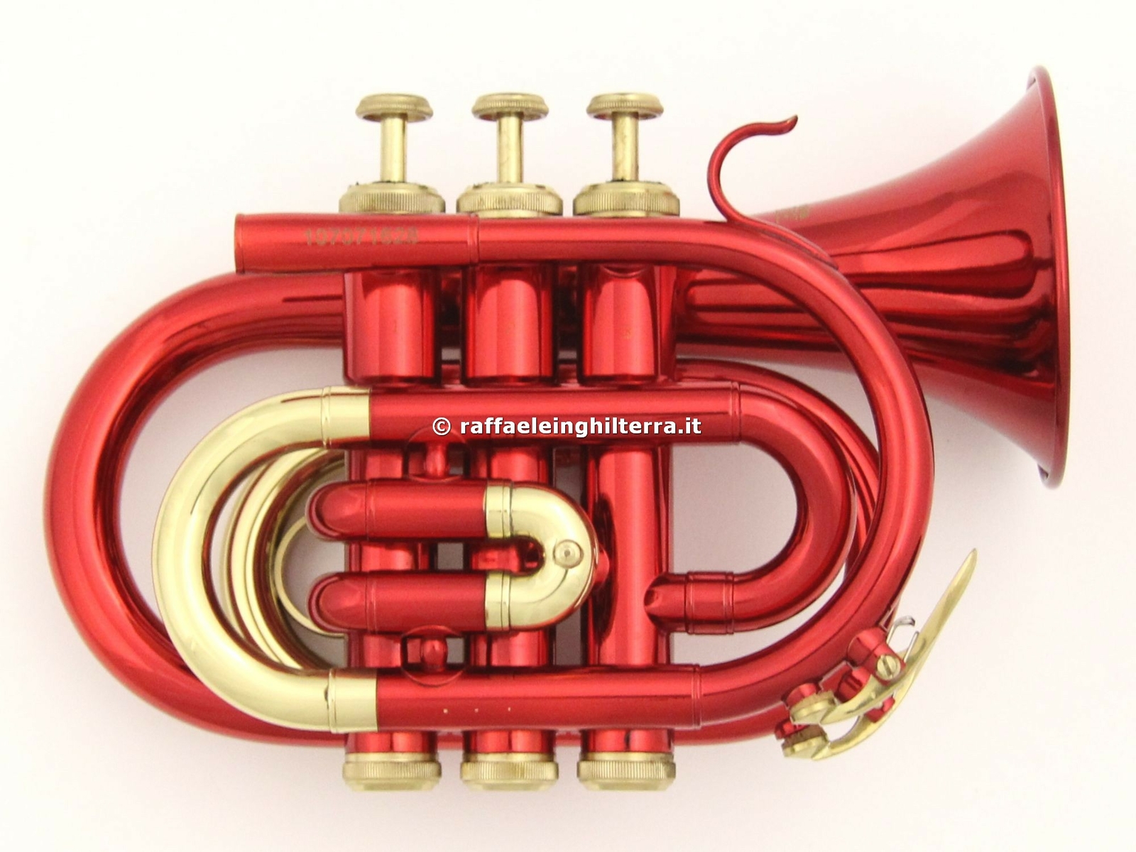 Roy Benson tromba sib pocket PT101R Red