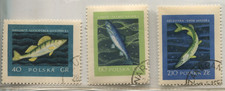 Poland 1966 Fish Definitives Scott 1345-1347 Used 40gr 60gr 2.10zl
