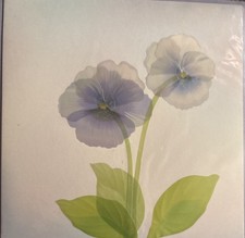 Papyrus~Happy Birthday Flowers~May Your Day B...