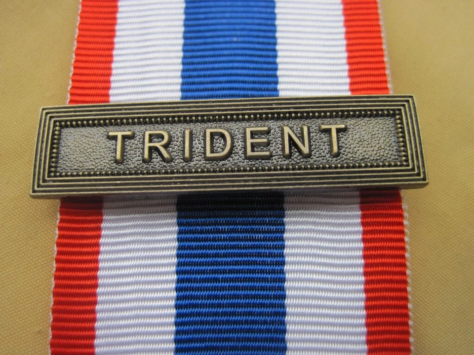 Agrafe TRIDENT (1) pour la Médaille de la Protection Militaire du Territoire - Photo 1/1