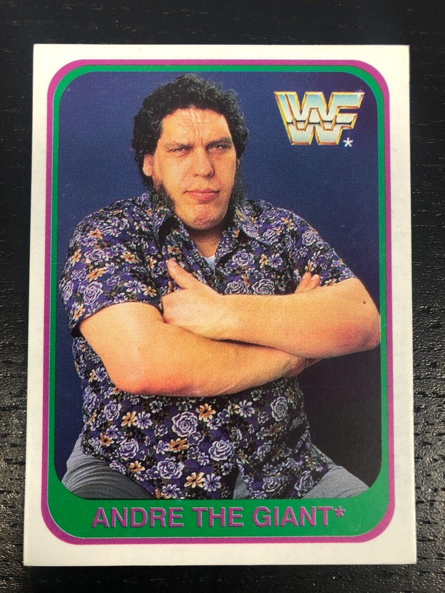 アンドレ・ザ・ジャイアント カード ANDRE THE GIANT WWF MERLIN 1991 TRADING CARDS WRESTLING #121 NEAR